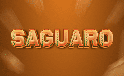 Saguaro - Banner Görseli