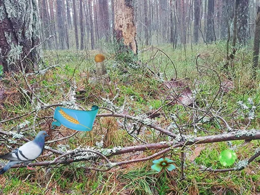 Bernati Ormanı Macerası: Gizem Avı Başlıyor!