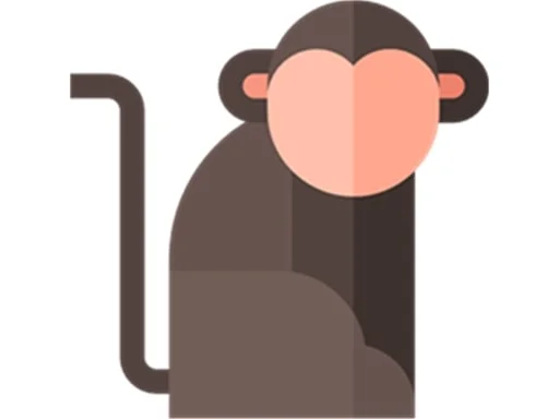 Hafıza Şöleni: Aklını Test Et!