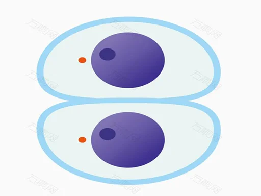 Kesme Ustası: Dilimleme Şöleni!