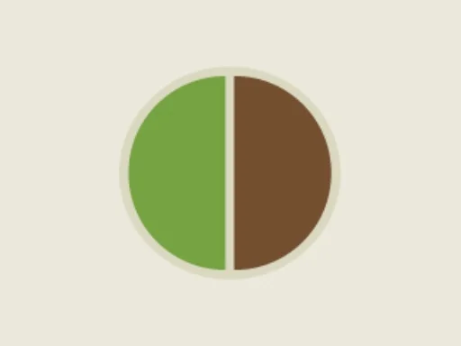 Top Yakalama Macerası: Reflekslerin Konuşsun!